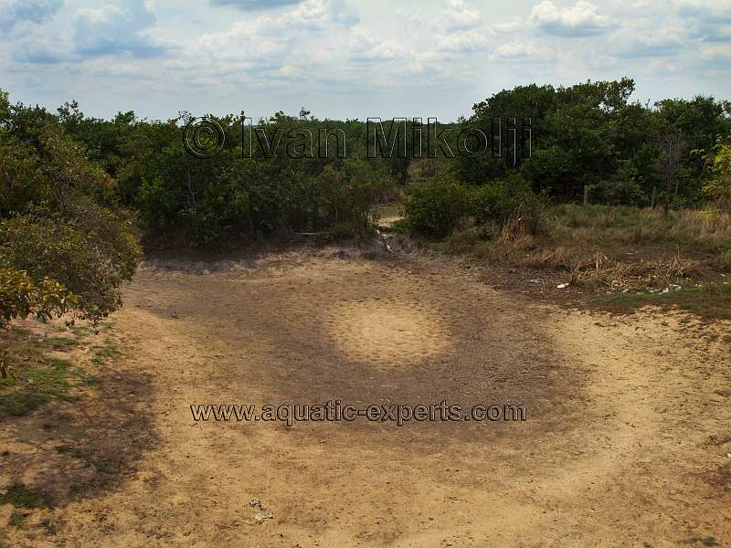 epoca de sequia venezuela